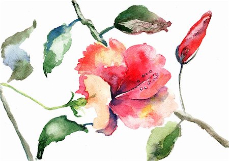 simsearch:400-06202782,k - Watercolor illustration of Beautiful flowers Stock Photo - Budget Royalty-Free & Subscription, Code: 400-06202792
