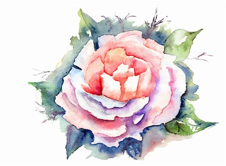 simsearch:400-06202782,k - Watercolor illustration of Beautiful flowers Stock Photo - Budget Royalty-Free & Subscription, Code: 400-06202802