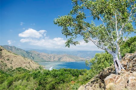 coast near dili east timor, timor leste Photographie de stock - Aubaine LD & Abonnement, Code: 400-06202831