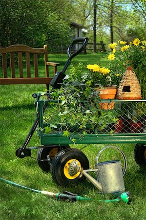 Summer gardening in back yard Stock Photo - Budget Royalty-Free & Subscription, Code: 400-06203349