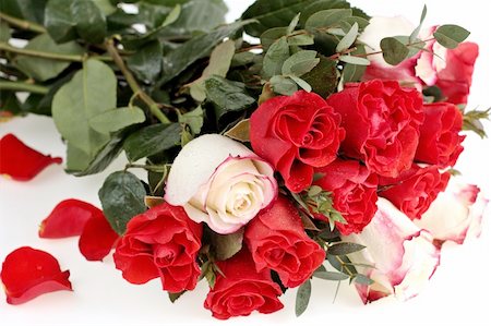 simsearch:400-05104344,k - bouquet of red roses on white background Foto de stock - Super Valor sin royalties y Suscripción, Código: 400-06325546