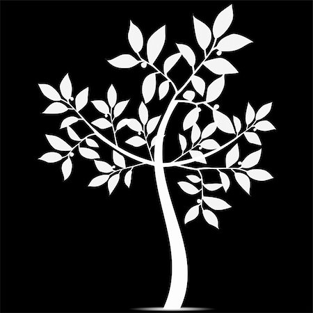 Beautiful art tree silhouette isolated on white background Fotografie stock - Microstock e Abbonamento, Codice: 400-06326969