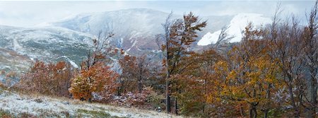 simsearch:400-05713513,k - October Carpathian mountain Borghava plateau panorama with first winter snow and autumn foliage. Two shots composite picture. Stock Photo - Budget Royalty-Free & Subscription, Code: 400-06327129