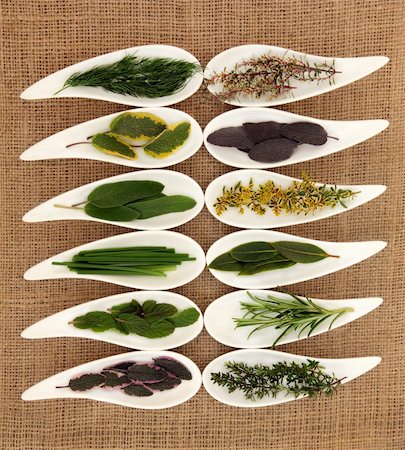 simsearch:400-06327283,k - Fresh herb selection of varieties of sage, thyme, fennel, chives, mint, rosemary and bay leaf sprigs in white porcelain dishes over hessian background. Stock Photo - Budget Royalty-Free & Subscription, Code: 400-06327180