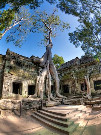 simsearch:400-06391595,k - Jungle overtakes the ancient temple Ta Prohm near Siem Reap, Cambodia Photographie de stock - Aubaine LD & Abonnement, Code: 400-06327582