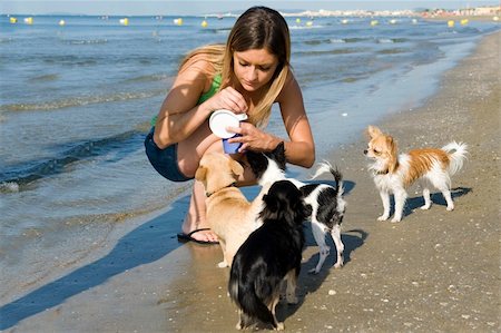 portrait of a cute purebred  chihuahuas and young woman on the beach Stock Photo - Budget Royalty-Free & Subscription, Code: 400-06328187
