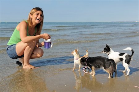 portrait of a cute purebred  chihuahuas and young woman on the beach Stock Photo - Budget Royalty-Free & Subscription, Code: 400-06328190