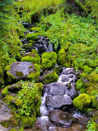 san miguel mountains - A tributary of Weminuche Creek in the San Juan Mountains of Colorado Cascades down to the trail. Stock Photo - Budget Royalty-Free & Subscription, Code: 400-06328278