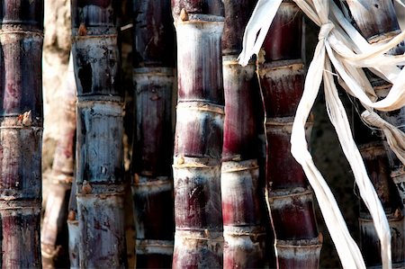 sugar cane - Close up of stack of sugar canes tied together with ribbon Stock Photo - Budget Royalty-Free & Subscription, Code: 400-06328814