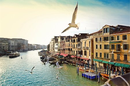Photo of Grand canal, view from Rialto bridge in Venice, Italy Stock Photo - Budget Royalty-Free & Subscription, Code: 400-06330339
