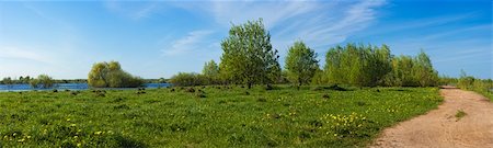 view of the flooded fields in the spring of the road, and wildflowers Stock Photo - Budget Royalty-Free & Subscription, Code: 400-06330574