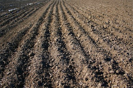 plowed soil for sowing works during a spring season Fotografie stock - Microstock e Abbonamento, Codice: 400-06333278