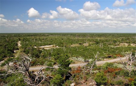 Jonathan Dickinson State Park in South Florida Photographie de stock - Aubaine LD & Abonnement, Code: 400-06355552