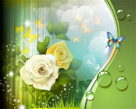 rose butterfly illustration - Background with roses and butterflies Stock Photo - Budget Royalty-Free & Subscription, Code: 400-06355864