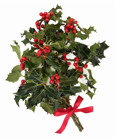 Holly leaf sprig christmas decoration with red berry clusters tied with a bow over white background. Foto de stock - Super Valor sin royalties y Suscripción, Código: 400-06356081