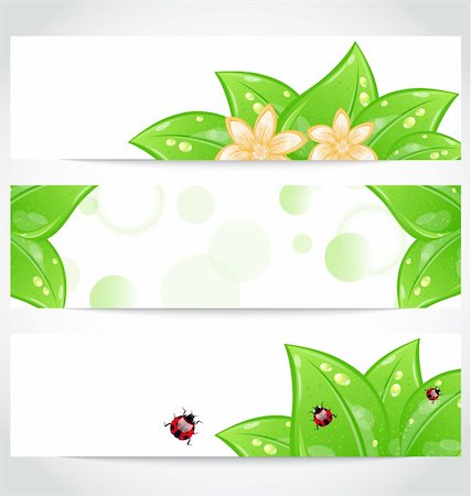 simsearch:400-07464142,k - Illustration set of bio concept design eco friendly banners (2) - vector Foto de stock - Super Valor sin royalties y Suscripción, Código: 400-06356362