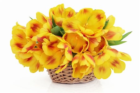 simsearch:400-06356460,k - Yellow and red  tulip flowers in a wicker basket over white background. Foto de stock - Super Valor sin royalties y Suscripción, Código: 400-06356628