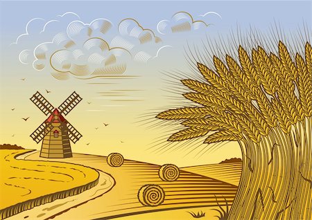 rye ear - Retro wheat fields landscape in woodcut style. Vector illustration with clipping mask. Stock Photo - Budget Royalty-Free & Subscription, Code: 400-06356669