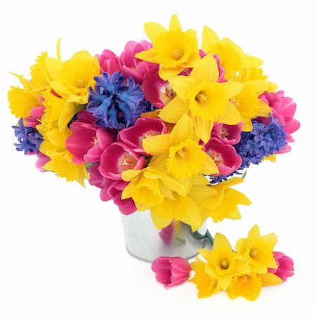 simsearch:400-06356460,k - Tulip, daffodil and hyacinth spring flower arrangement in an aluminium pot over white background. Foto de stock - Super Valor sin royalties y Suscripción, Código: 400-06356867
