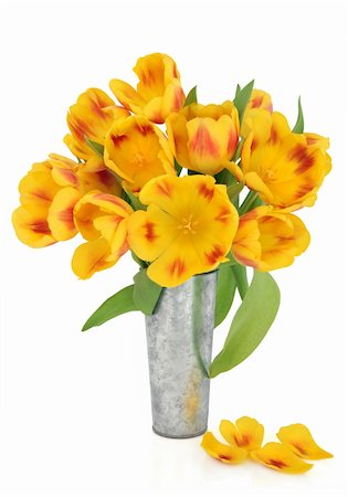 simsearch:400-06356460,k - Yellow and red  tulip flowers in an aluminum vase over white background. Foto de stock - Super Valor sin royalties y Suscripción, Código: 400-06356861