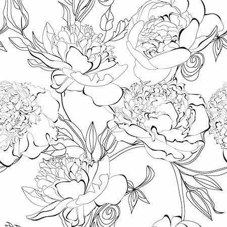 peonies illustration - Monochrome seamless pattern with Peony flowers Stock Photo - Budget Royalty-Free & Subscription, Code: 400-06357503