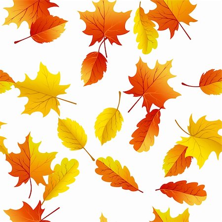 Autumn maples leaves seamless background. Vector illustration. Stock Photo - Budget Royalty-Free & Subscription, Code: 400-06357858