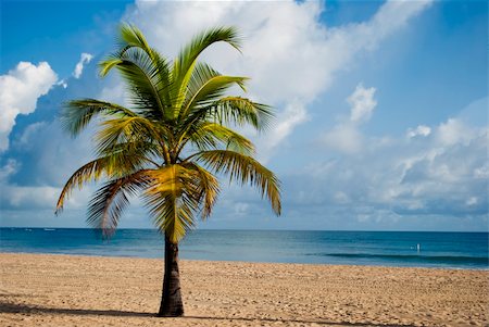 simsearch:622-06370189,k - Beach resort hotel in Isla Verde, San Juan, Puerto Rico Stock Photo - Budget Royalty-Free & Subscription, Code: 400-06358690