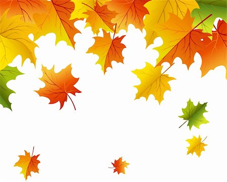 Autumn maples falling leaves background. Vector illustration. Stock Photo - Budget Royalty-Free & Subscription, Code: 400-06358851