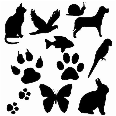 rabbit butterfly picture - Animal Silhouettes Stock Photo - Budget Royalty-Free & Subscription, Code: 400-06359583