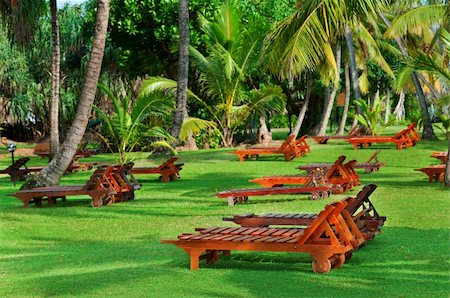 resort outdoor bed - Beach beds between tropical trees on green grass Foto de stock - Super Valor sin royalties y Suscripción, Código: 400-06364069