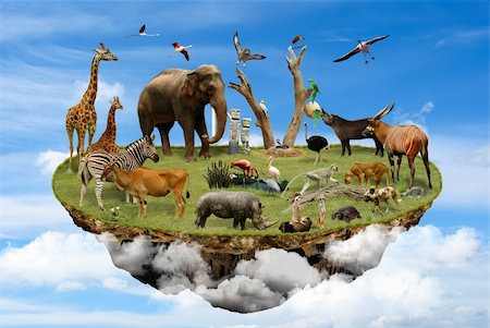 pelícano - Floating island in the clouds with animals as symbol of environmental concept Foto de stock - Super Valor sin royalties y Suscripción, Código: 400-06365946