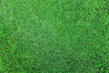 Cut grass seen from above Stock Photo - Budget Royalty-Free & Subscription, Code: 400-06365989