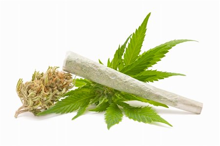 marijuana cigarette and green Leaf Isolated on white background Stock Photo - Budget Royalty-Free & Subscription, Code: 400-06367655