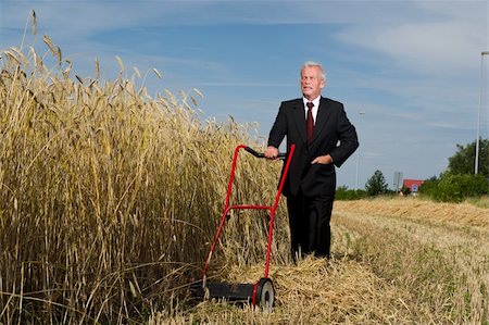 Businessman surveying a challenge with courage and determination as he assesses a large field of ripe golden wheat ready for harvesting with just a hand mower at his disposal Stockbilder - Microstock & Abonnement, Bildnummer: 400-06360996