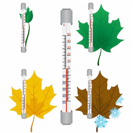 Thermometer against the backdrop of maple leaves in different seasons. The illustration on a white background. Stock Photo - Budget Royalty-Free & Subscription, Code: 400-06384001