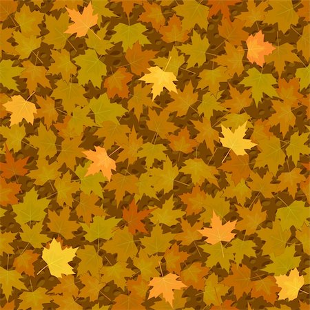 motif d'arrière-plan sans soudure de feuilles de vecteur automne érable jaune Photographie de stock - Aubaine LD & Abonnement, Code: 400-06384784