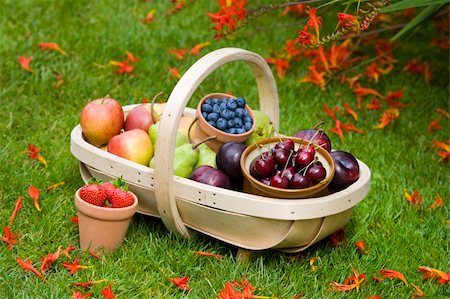 simsearch:400-06387340,k - trug of harvested summer fruit including: blueberries, cherries, apples, pears, strawberries, plums Foto de stock - Super Valor sin royalties y Suscripción, Código: 400-06387359