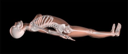 simsearch:400-06768229,k - 3D render of a female medical skeleton in a yoga position Fotografie stock - Microstock e Abbonamento, Codice: 400-06388156