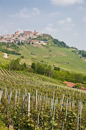 Tuscany. Vineyard in the middle of the most famous wine region of Italy. Stock Photo - Budget Royalty-Free & Subscription, Code: 400-06388950