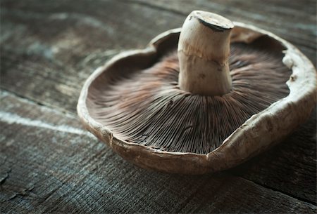 shiitake - Large fresh shitake mushroom on wood planks Foto de stock - Super Valor sin royalties y Suscripción, Código: 400-06389442