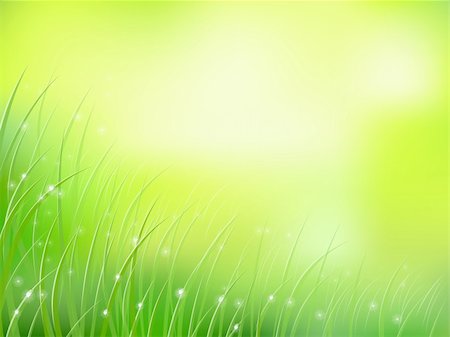 simsearch:400-07570299,k - morning sunlight grass with early dew softfocus bokeh pattern eps10 Stock Photo - Budget Royalty-Free & Subscription, Code: 400-06383974