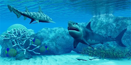 school fish illustration - An Angel shark flattens itself against the bottom and three Royal Angelfish try to hide near some coral as a Great White shark meets with a Leopard shark. Stock Photo - Budget Royalty-Free & Subscription, Code: 400-06394963