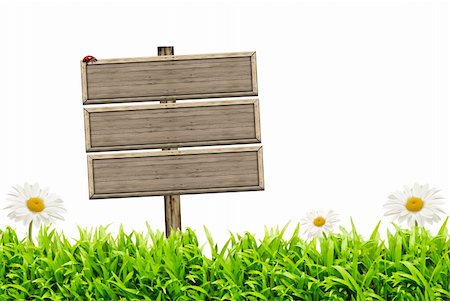 Ökologie oder Werbung Konzept mit Holzbrett isoliert auf weißem Hintergrund Stockbilder - Microstock & Abonnement, Bildnummer: 400-06395669