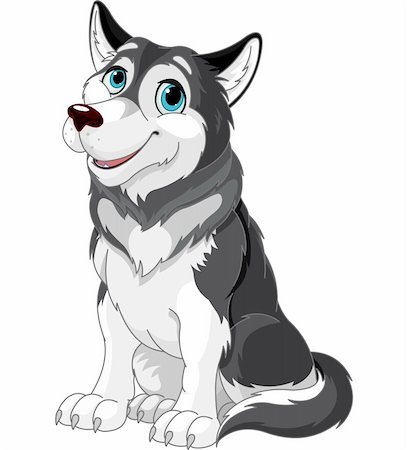 siberian wild animals - Cartoon illustration of Alaskan Malamute dog Stock Photo - Budget Royalty-Free & Subscription, Code: 400-06396510