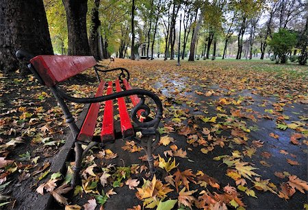 A red bench in the park in autumn Stock Photo - Budget Royalty-Free & Subscription, Code: 400-06396700