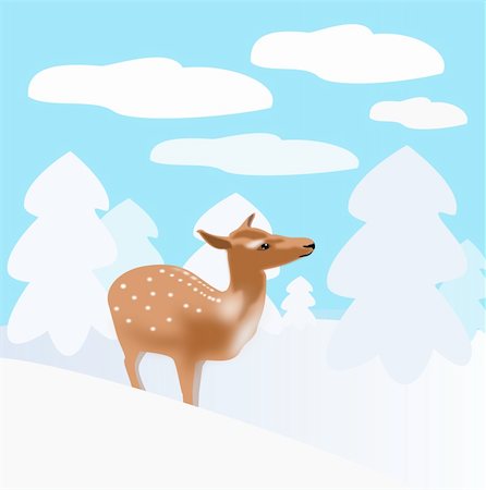 simsearch:400-04793517,k - A deer that stand between snow     covered spruce trees. Foto de stock - Super Valor sin royalties y Suscripción, Código: 400-06397273