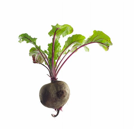 simsearch:400-05682396,k - growing red beetroot on white background Stock Photo - Budget Royalty-Free & Subscription, Code: 400-06390652