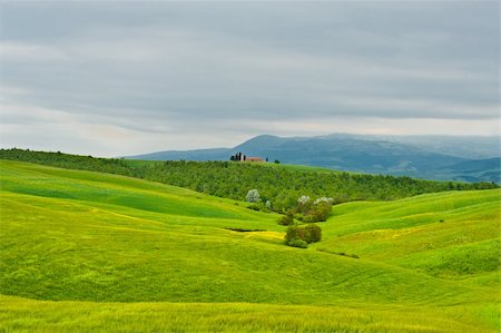 Farmhouse and Church over Green Sloping Meadows of Tuscany Stock Photo - Budget Royalty-Free & Subscription, Code: 400-06390777