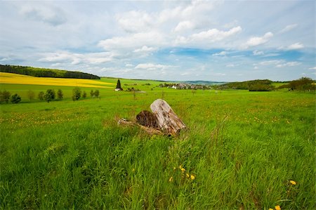 Woodpile on the Green Fields, Germany Stock Photo - Budget Royalty-Free & Subscription, Code: 400-06390773