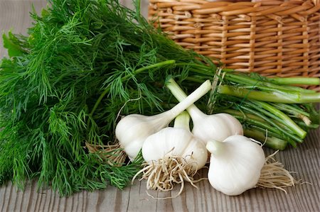 Fresh garlic and bunch of dill on a wooden board. Stock Photo - Budget Royalty-Free & Subscription, Code: 400-06391328